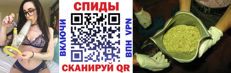 БУТИРАТ буратино  Купить где  Мариинск 