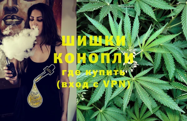 спайс Бородино