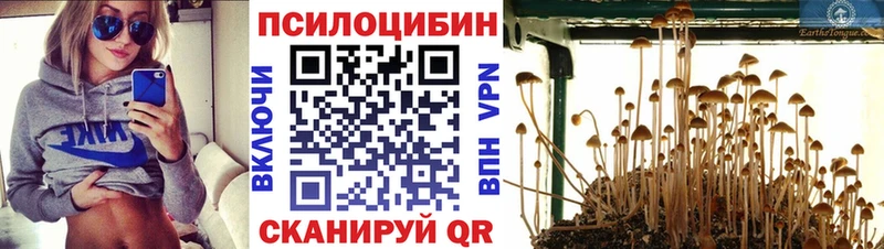 Галлюциногенные грибы мицелий  Купить где  Мариинск 